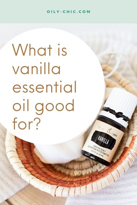 Check out our fun list of vanilla essential oil uses and DIYs at Oily Chic! Vanilla Roller Blends, Vanilla Essential Oil Blends Perfume Recipes, Diy Vanilla Essential Oil, Vanilla Essential Oil Benefits, Vanilla Essential Oil Blends, Oily Chic, Essential Oils Benefits, Essential Oil Lip Balm, Essential Oil Blends Roller