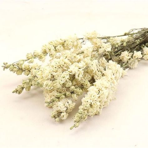 Dried Delphinium, Delphinium White, Flower Bunches, Dutch Flowers, November Wedding, Florist Shop, Flowers Delivered, Darjeeling, Wholesale Flowers