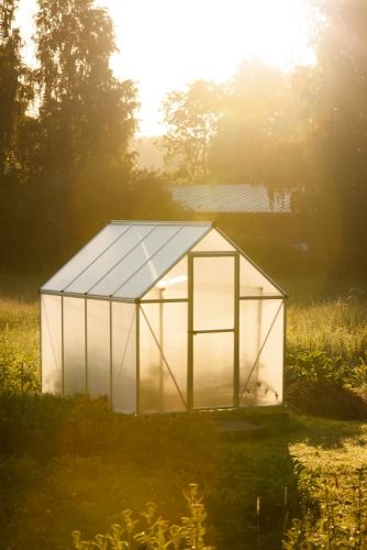 DIY Bamboo Greenhouse - how to build a frugal greenhouse out of bamboo and plastic sheeting Cold Frame Gardening, Modern Greenhouses, Sustainable Diy, Diy Greenhouse Plans, Best Greenhouse, Build A Greenhouse, Indoor Greenhouse, Home Greenhouse, Wooden Greenhouses