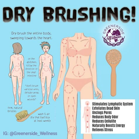 Dry Brush Benefits, Dry Brush Diagram, Dry Brushing Body Map, How To Dry Brush Your Face, Dry Brush Before And After, Dry Brushing Infographic, Body Brushing How To, Dry Brushing Diagram, How To Clean Dry Brush