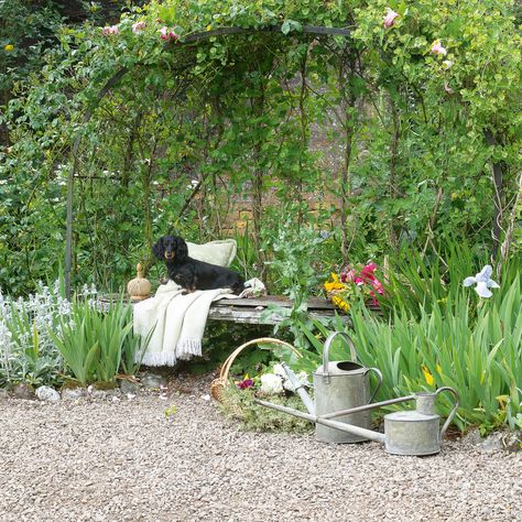 10 Gravel garden ideas for an easy, low-maintenance style | Ideal Home Gravel Area In Garden, Small Gravel Garden Ideas, Gravel Front Garden Ideas, Gravel Garden Ideas, Pea Gravel Garden, Walled Courtyard Garden, Bungalow Ideas, Garden Plot, Walled Courtyard