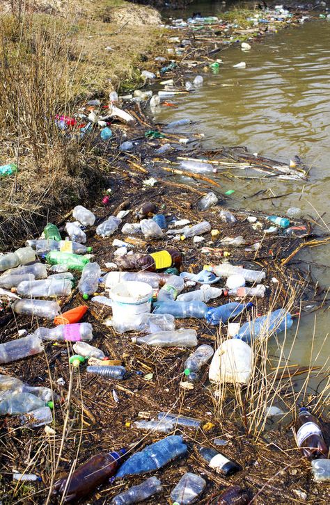 River Pollution Poster, Water Pullotion Picture, Polluted Forest, Pollution Images, Plastic Pollution In Ocean, Polluted Ocean, River Pollution, Water Environment, Water Pollution Model