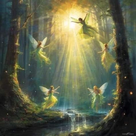 Dancing In The Forest, Faery Art, Fairy Paintings, 동화 삽화, Fairies Dancing, Fairy Pictures, Fairy Artwork, Fairy Aesthetic, Forest Painting