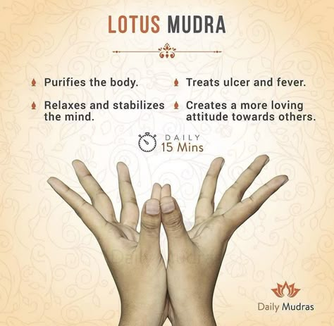 Mudras For Meditation, Yoga Mudras Hands, Daily Mudras, Lotus Mudra, Mudras Hand, Yoga Mudras, Yoga Mudra, Hand Mudras, Yoga Facts