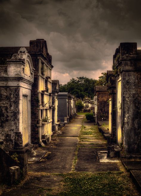 Dread Nation, Cemetery New Orleans, New Orleans Cemeteries, Lafayette Cemetery, New Orleans Architecture, New Orleans History, New Orleans French Quarter, New Orleans Travel, Southern Gothic