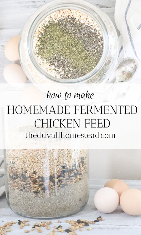 How to Make Fermented Chicken Feed - The Duvall Homestead Diy Quail Feed, Fermented Chicken Feed Recipe, Soaking Chicken Feed, Homemade Chicken Feed For Layers, Micro Homestead, Chicken Feed Recipe, Natural Chicken Feed, Fermented Chicken Feed, Chicken Feed Diy