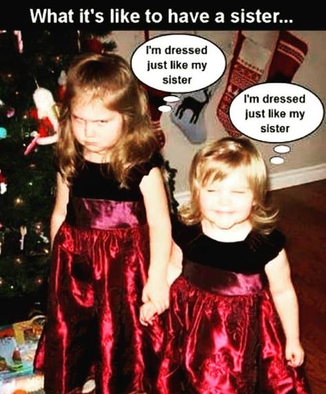 That scowl is me in pretty much every picture my parents have on me X3 Losing A Sister Quotes, Funny Sister Memes, Quotes About Sisters, Sister Meme, Happy Birthday Sister Funny, Sister Bond Quotes, Siblings Funny Quotes, Funny Sister, Sister Love Quotes