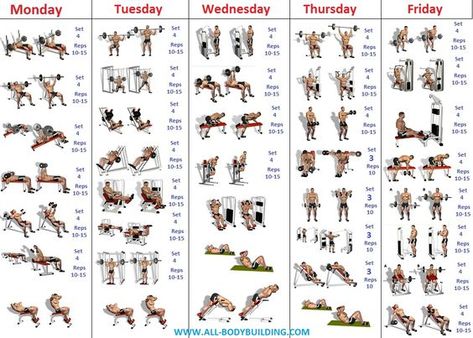 Bodybuilding Training Program, Gym Workout Schedule, 4 Day Workout, Exercise Chart, Bodybuilding Routines, Gym Program, Fitness Studio Training, Workout Plan For Men, Gym Plan