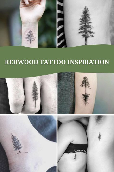 47+ Redwood Tree Tattoo Ideas (Meaning Survival + Strength) - TattooGlee Redwood Tree Tattoo, Tiny Tree Tattoo, Tree Line Tattoo, Tattoo Ideas Meaning, Redwood Tattoo, Tattoos Meaning Strength, Small Nature Tattoo, Tree Tattoo Ideas, Simple Tree Tattoo