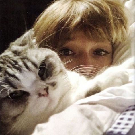 Taylor Swift Cat, Jenny Rivera, Taylor Swift Icon, Taylor Swift Cute, Estilo Taylor Swift, Taylor Swift Videos, Cat Icon, Swift 3, Taylor Swift 13