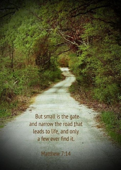 Let me choose the narrow path Road Of Life Quotes, Matthew 22, Romans 10, Narrow Path, Jehovah's Witnesses, Biblical Quotes, Faith Inspiration, God Loves Me, Lord Jesus Christ