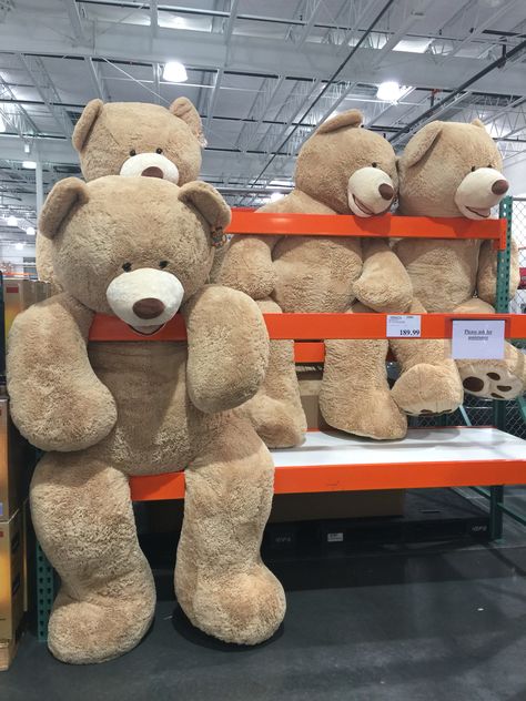 The #Giants of #Costco Costco Bear, Huge Teddy Bears, Big Teddy Bear, White Teddy Bear, Bear Costume, The Giants, Teddy Bear Stuffed Animal, Cute Stuffed Animals, Animal Sculptures