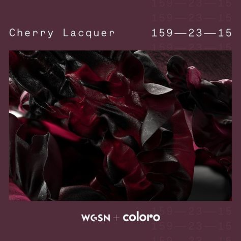 In a world where niche is the new normal and outsiders are the new insiders, Key Color for A/W 25/26 Cherry Lacquer looks to subcultures… | Instagram Cherry Lacquer Color, Cherry Lacquer, 2025 Trends, Mocha Mousse, Color Trends Fashion, New Normal, The New Normal, Pantone Color, Color Code