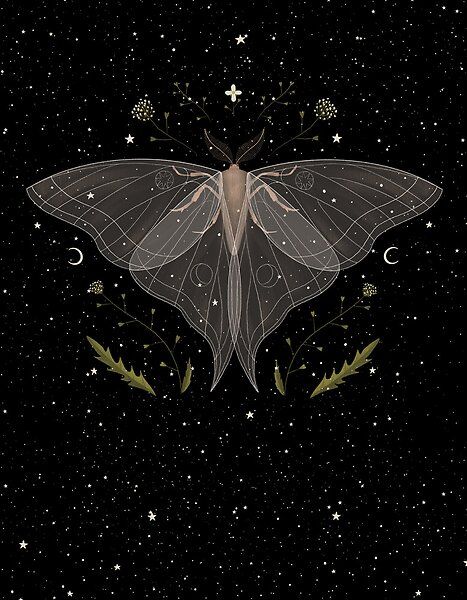 Celestial Moth Tattoo, Lunar Moths Aesthetic, Moth Phone Wallpaper, Moth Woman, Witchy Moth Drawing, Celestial Moth Art, Moth Aesthetic, Space Aesthetic, Moon Wallpaper