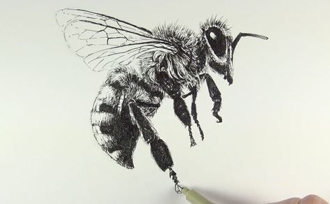 Drawing the legs of the bee Tatoo Dog, Bee Drawing, Bee Illustration, Bee Tattoo, Tattoo Sketch, Desenho Tattoo, Insect Art, Bee Art, Ink Illustrations