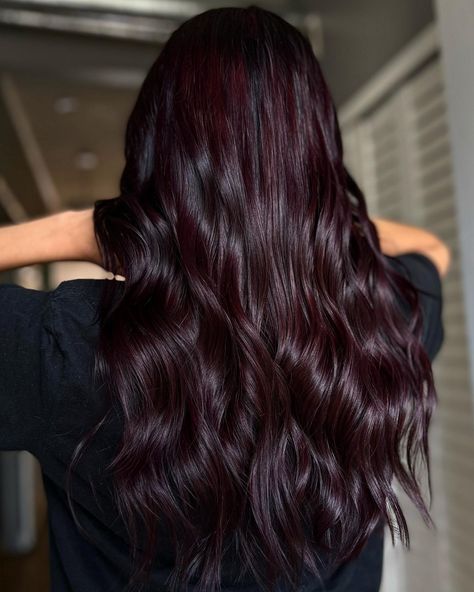 Dark Cherry Ombre Hair, Black With Red Tint Hair, Cherry Red Hair Ideas, Dark Red Hair Colors, Dark Cherry Hair Color Burgundy, Dark Brown Cherry Hair Color, Dark Cherry Coke Hair, Dark Purple Hair Curly, Black Cherry Hair Dye