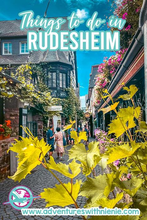 Best River Cruises In Europe, Rudesheim Germany, Viking Rhine River Cruise, Rutland Water, Rhine Valley, Christmas Cruise, Rhine River Cruise, River Cruises In Europe, European River Cruises