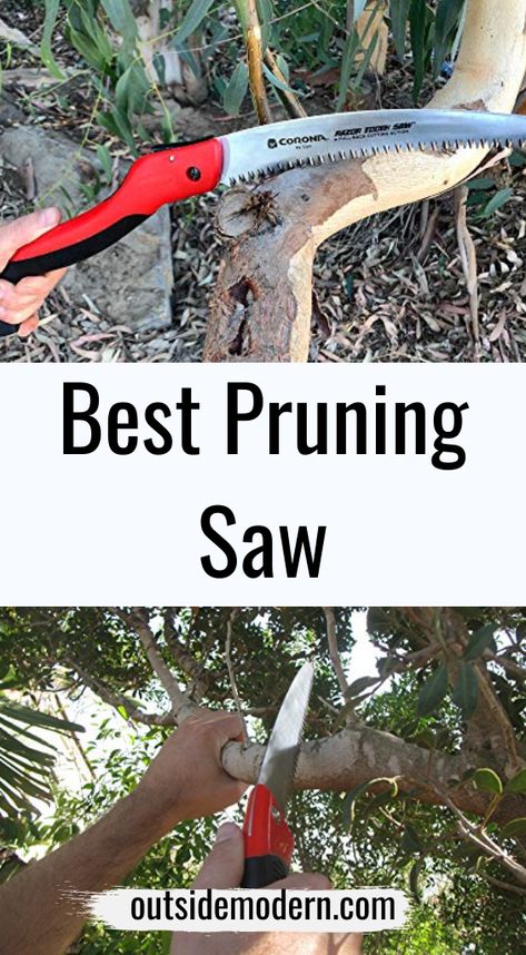 After an exhaustive look at several pruning saws available on the market, we’ve found that the best pruning saw is the TABOR TOOLS TTS13 Pruning Saw. It is not a fancy saw. It doesn’t fold, it doesn’t have pretty decorations on the blade. But it cuts like a beast. It cuts on the pull, giving good options for putting some power into the cut. The sturdy blade is resistant to breakage, and users universally have given this a thumbs up. #PruningSaw Pretty Decorations, Pruning Saws, Pruning Saw, Pruning Tools, Pretty Decor, A Beast, Pruning Shears, Saws, Lawn And Garden