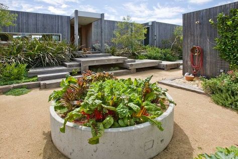 coastal container garden . concrete tube . veggie patch idea English Garden Landscaping, Country Landscape Design, Front Garden Landscaping, Lifestyle Block, Garden Design Layout Landscaping, Miraculous Ideas, Vege Garden, Australian Country, Productive Garden