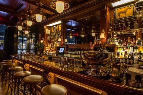 The Polo Bar Runs New York's Toughest ... Steam Ship, Polo Bar, Luxe Decor, American Bars, Modern Restaurant, Restaurant Interior Design, John Legend, Through The Window, What To Eat