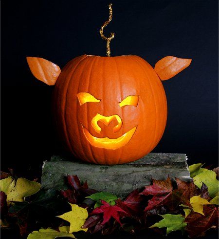 Scary Pig Pumpkin – Pumpkin Carving Ideas for Halloween Emoji Pumpkin Carving, Thanksgiving Pumpkin Recipes, Pig Pumpkin, Pumpkin Carving Patterns Free, Scary Halloween Pumpkins, Pumkin Carving, Creative Pumpkin Carving, Amazing Pumpkin Carving, Easy Pumpkin Carving