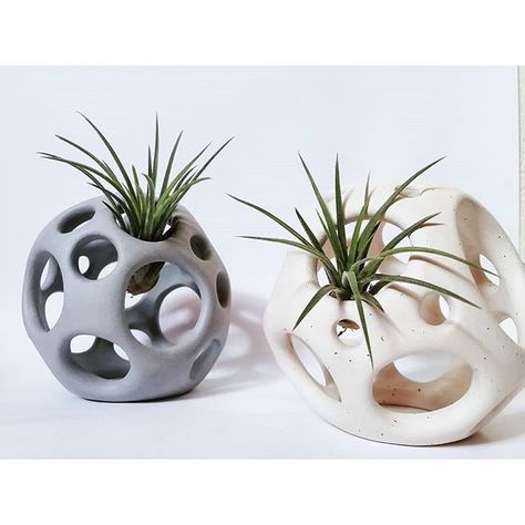 Plant Holder Diy, Air Plants Decor, Ceramics Inspiration, Air Plant Display, Hanging Plants Indoor, Plant Display, Raku Ceramics, Hand Built Pottery, Air Plant Holder