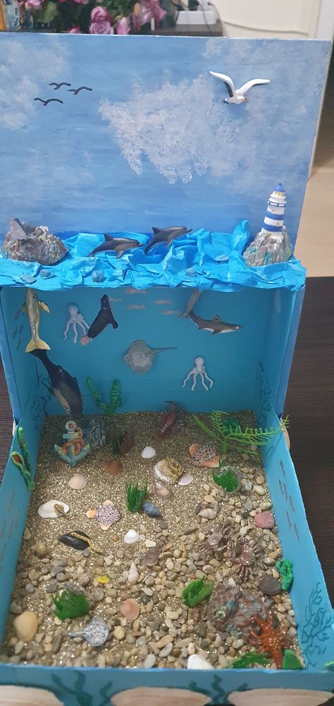 Marine Biome Project, Ocean Model Project, Ocean Habitat Diorama School Projects, Sea Habitat Project For Kids, Aquarium Model Projects, Sea Diaroma, Aquatic Ecosystem Project, Ecosystems Projects Shoebox Ocean, Marine Ecosystem Project