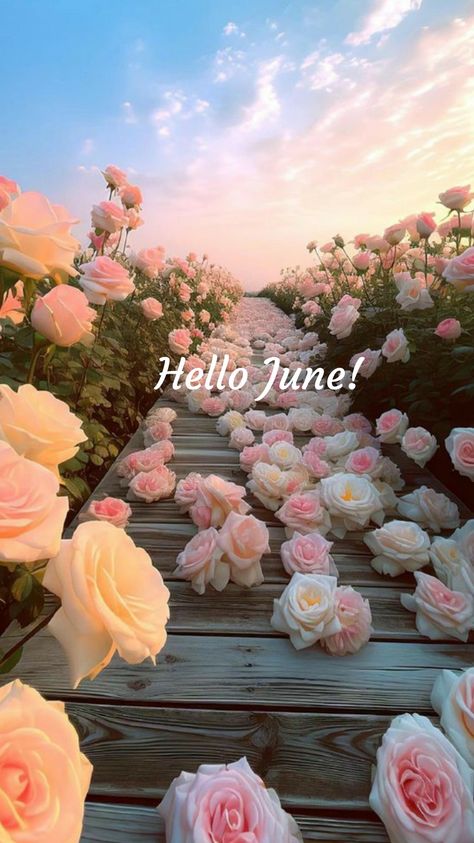 June Background Aesthetic, Hello June Images, June Month Wallpaper, Hello June Aesthetic, June 2024 Wallpaper, June Aesthetic Month Wallpaper, Months Of The Year Wallpaper, June Vision Board Aesthetic, June Month Aesthetic