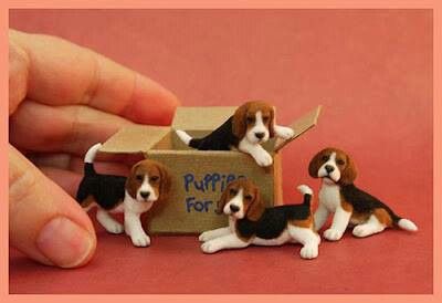 *NEEDLE FELTED ART Mini Beagle, Beagle Puppies, Needle Felted Dog, Animal Model, Felt Dogs, Beagle Puppy, Felting Tutorials, Miniature Animals, Needle Felt