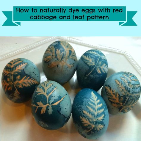 Marblemount Homestead: Last minute Easter Eggs that are stunning and colored naturally - how to dye eggs with red cabbage and a leaf pattern Natural Easter Eggs, Dye Eggs, Naturally Dyed Easter Eggs, Painted Eggs, Egg Dye, Easter Egg Dye, Egg Crafts, Crafty Creations, Coloring Easter Eggs