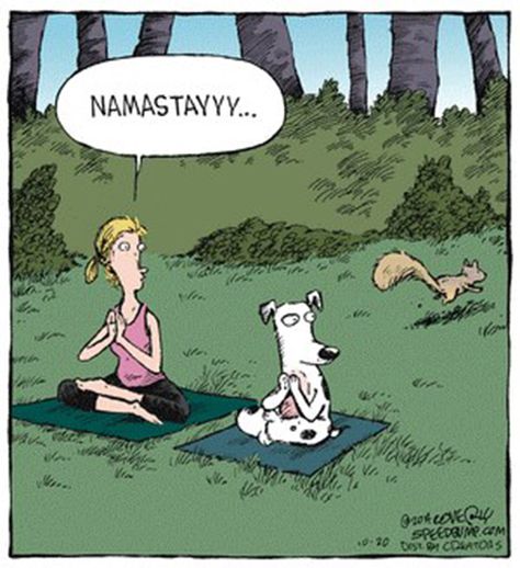 Tickled #264: Namastayyyy! Dog Humor. Yoga Jokes, Speed Bump Comic, Yoga Meme, Yoga Humor, Dog Therapy, Yoga Cartoon, Yoga Om, Yoga Illustration, Funny Yoga