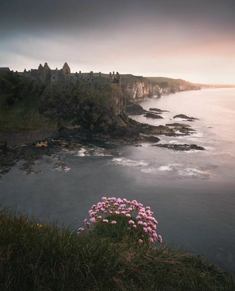 Dunluce Castle | Co Antrim, Northern Ireland | jonnyevansfoto Dunluce Castle Ireland, Dunluce Castle, Castle Ireland, Types Of Architecture, Scottish Islands, North Coast, Abandoned Buildings, British Isles, Northern Ireland