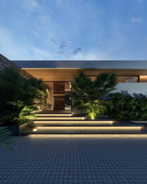 House Entry Steps, Palms Landscaping, Single Story Contemporary House, Steps Lighting, Artistic Garden, House In Thailand, Terrace House Design, Single Story Modern House, Flat Roof Design