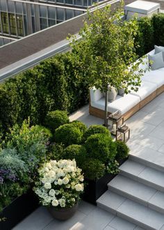 Penthouse Garden, Terrace Garden Ideas, Roof Garden Design, Terrace Garden Design, Rooftop Terrace Design, Rooftop Design, Rooftop Patio, Terrace Design, Rooftop Garden