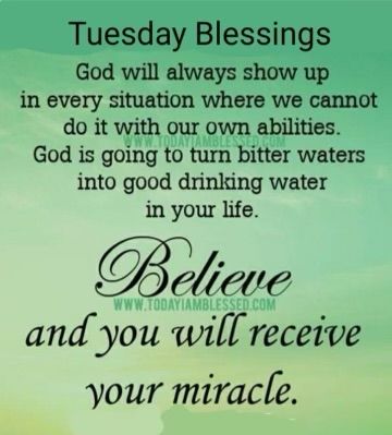 Good Tuesday Morning Blessing, Tuesday Motivation Inspiration Wisdom, Tuesday Blessings Mornings, Hello May Quotes, Tuesday Motivation Quotes, Weekly Blessings, Good Morning Prayer Quotes, Tuesday Quotes Good Morning, Tuesday Images