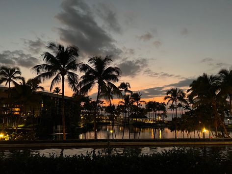 0.5 Pics Aesthetic, Beach Sunset Horizontal, Horizontal Aesthetic, Palm Trees Aesthetic, Palm Tree Sunset, Night Scenery, Macbook Wallpaper, Jolie Photo, Beautiful View