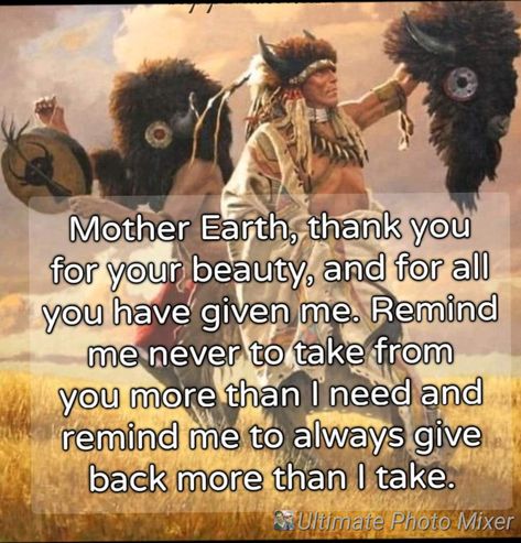 Native Quotes Spirituality, Native American Philosophy, Native Sayings, Native American Wolf Quotes, Witch's Kitchen, Native Quotes, American Indian Quotes, American Stuff, Spirit Animal Meaning