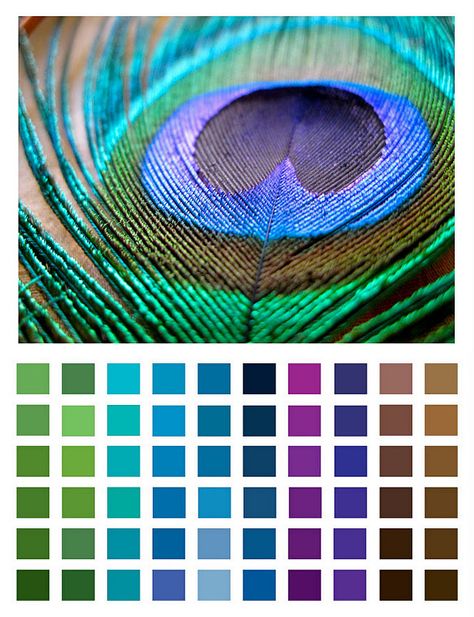 Peacock Color Scheme, Peacock Bedroom, Whimsical Bedroom, Peacock Pictures, Bedroom Colour Palette, Peacock Colors, Purple Interior, Peacock Painting, Color Schemes Colour Palettes