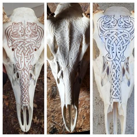 See more of what I do on Instagram @u.s.skullhunter Deer Skull Carving Patterns, Carved Deer Skull, Painted Skulls Animal, Carved Cow Skull, Animal Skull Decor, Deer Skull Monster Art, Deer Skull Art, Cow Skull Decor, Taxidermy Display