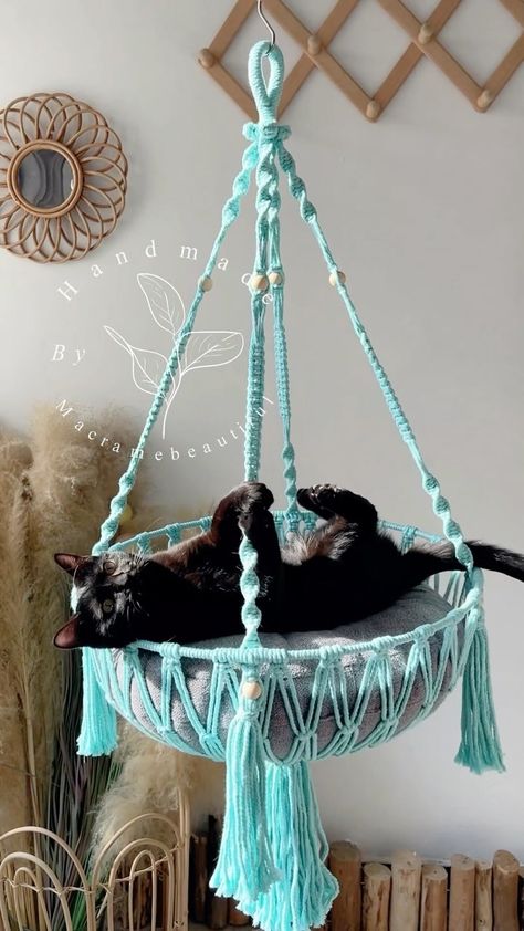 Emma Yang | 🌿✨ Swing into happiness with our mint green cat hammock! Capture the joy of a purr-fect day as your fur baby lounges in style. Isn’t it… | Instagram Tree Macrame, Cute Macrame, Macrame Cat Hammock, Baby Lounge, Cat Wall Furniture, Adorable Kittens, Cat Hammock, Diy Bags Patterns, Cat Cave