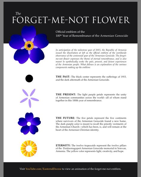 The Armenian forget me not flower explained. The symbolism is amazing! Alzheimers Tattoo, Armenian Language, Forget Me Not Tattoo, Cream Tattoo, Armenian History, Remembrance Tattoos, Armenian Culture, Alzheimers Awareness, Tattoo Cover