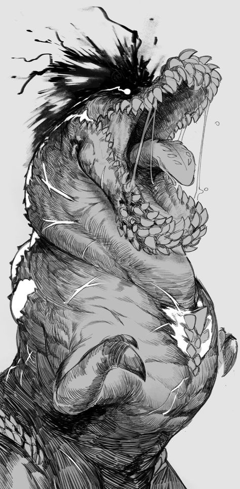 Monster Hunter Manga, Hunter Tattoo, Dragon Hunters, Stop Drawing, Monster Hunter Series, Monster Hunter Art, Capcom Art, Bleach Anime Art, Monster Hunter World