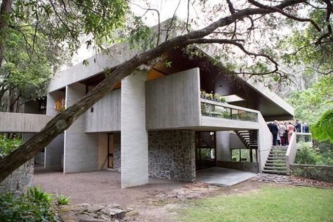 Australian Houses, Modernist Architects, Timber Ceiling, Passive Design, Walter Gropius, Butterfly House, Living Museum, Australian Architecture, Concrete House