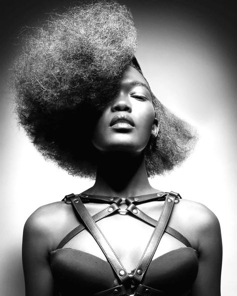 Afro Hair Shapes, Afro Hair Photoshoot, Shaped Afro, Afro Shapes, Editorial Hairstyle, Texture Hairstyles, Hair Sculpting, Hair Campaign, Afro Punk Fashion