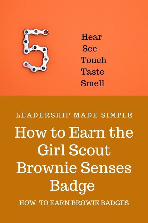 Brownie Meeting Ideas, Brownie Activities, Girl Scout Brownies Meetings, Girl Scout Levels, Girl Scout Brownie Badges, Daisy Activities, Girl Scout Daisy Activities, Girl Scout Brownie, Our Five Senses