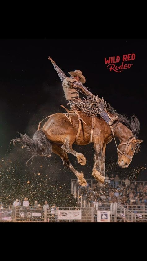 Alexis Cady- Rodeo Photographer (@wildredrodeo) • Instagram photos and videos Pbr Bull Riders, Cowboy Photography, Horse Competition, Bronc Riding, Rodeo Rider, Rodeo Cowboys, Western Artwork, Western Tattoos, Western Photography