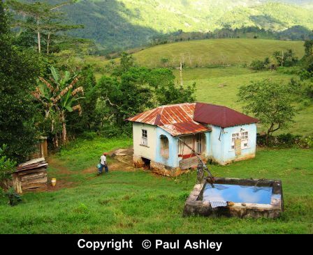 Traditional  Jamaican house Jamaican Countryside, Jamaican Proverbs, Tropical Cottage, Living In Jamaica, Jamaica House, Caribbean Architecture, Jamaican Art, Trini Food, Caribbean Homes