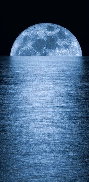 Full Moon Rising, ocean, photography effects, sea, reflection, moonlight, night, time, cruise photo, werewolf, lupine, travel, Gaia, Luna Full Moon Rising, Shoot The Moon, Moon Rising, Moon Pictures, Moon Rise, The Full Moon, Beautiful Moon, Dark Night, Blue Moon