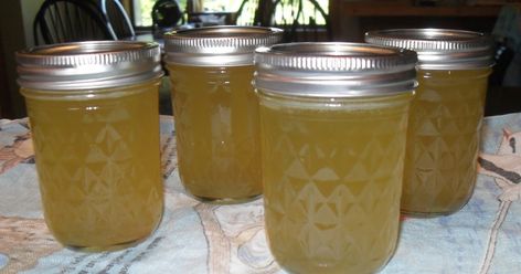 Cucumber Jelly Recipe, Cucumber Pickle Recipes, Cucumber Jelly, Corn Cob Jelly, Jam And Jelly Recipes, Making Pickles, Canning Meat, Jam Canning, Freeze Food