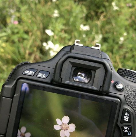 Mint Green Aesthetic, Cocoppa Wallpaper, Fotografi Vintage, Foto Ideas Instagram, Nature Aesthetic, Green Aesthetic, Aesthetic Photo, A Flower, Pretty Pictures